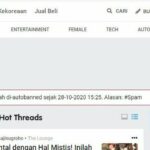 Terungkap Kenapa Email Saya Spam Wajib Kamu Ketahui