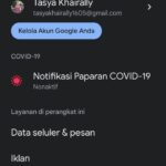 Terungkap Cari Email Saya Sendiri Terbaik